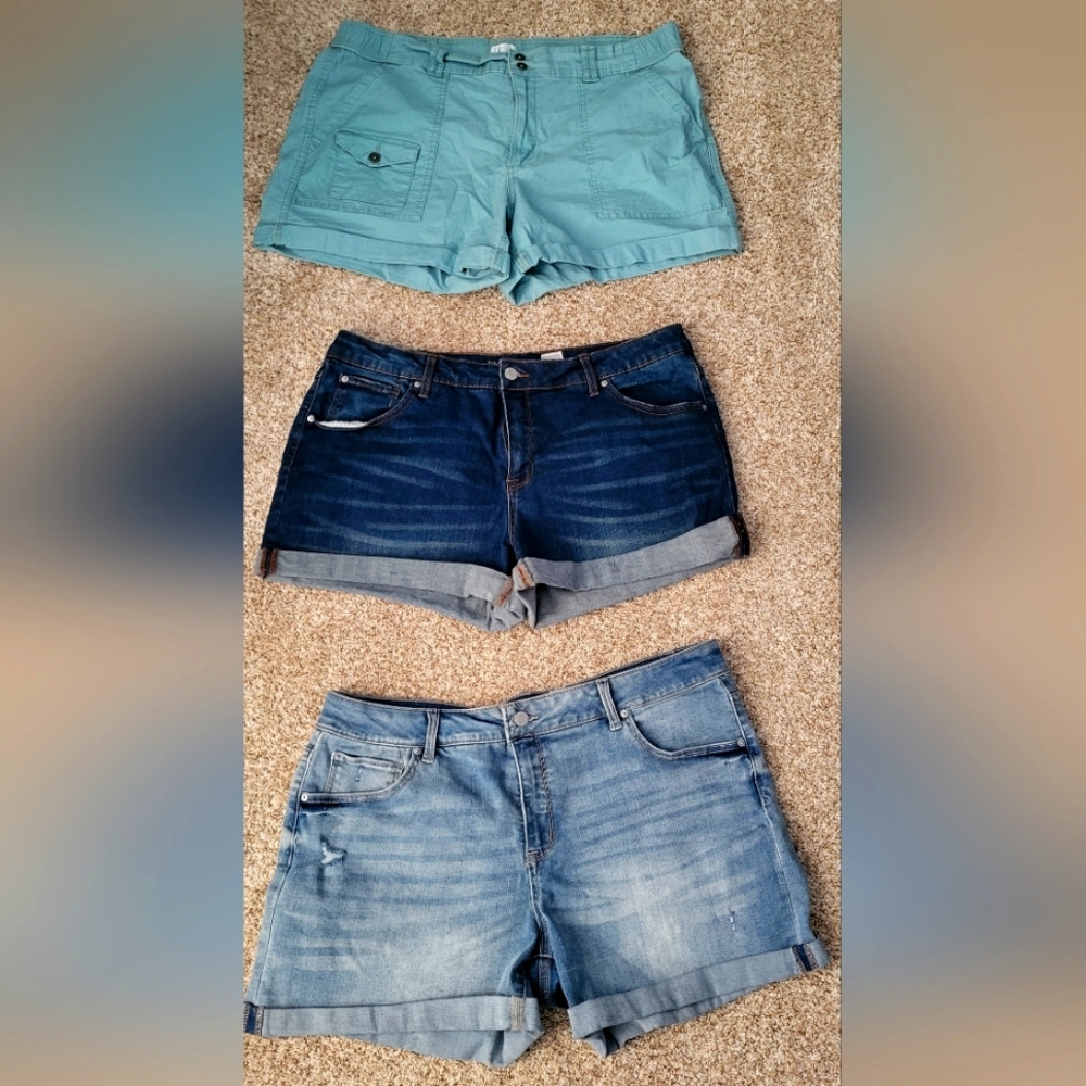 Time and True Shorts Size 16